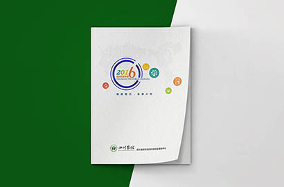 蓬安县画册设计：以场景为媒，打造城市体验的全新入口